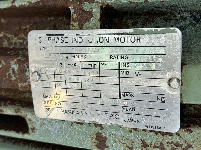 31